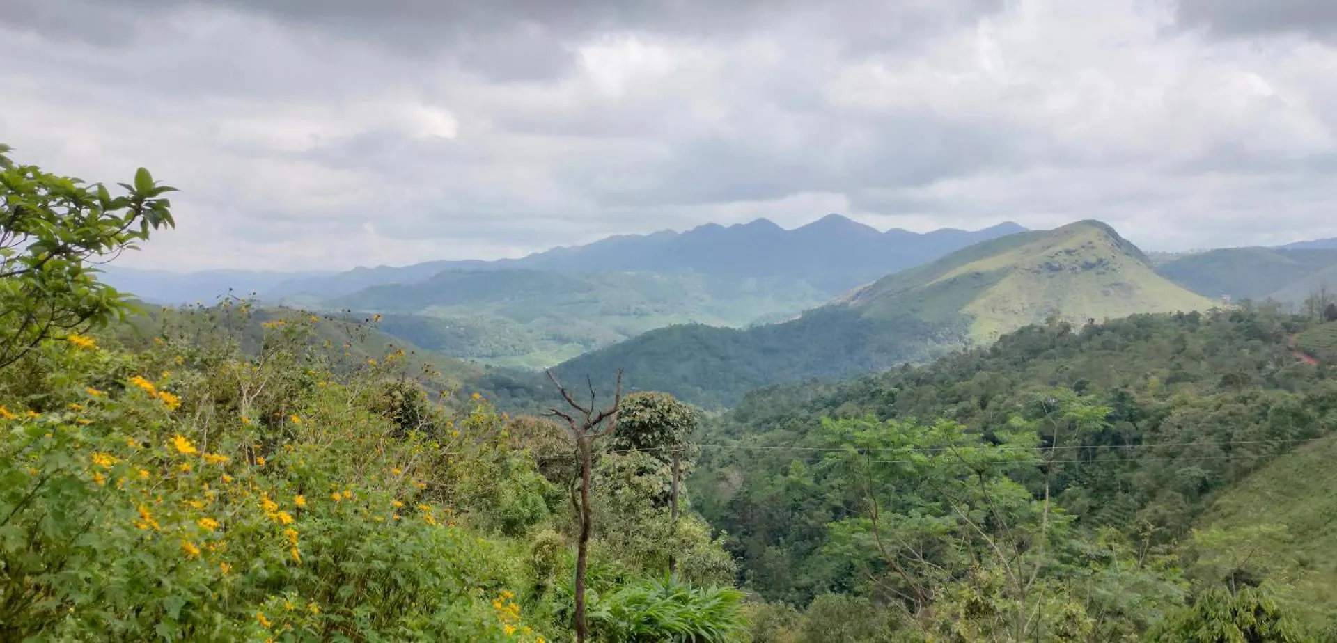Robin'S Paradise Vagamon India