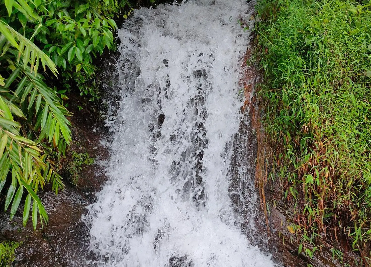 Villa Robin'S Paradise Vagamon